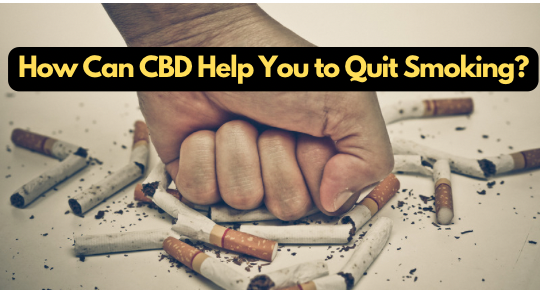 How Can CBD Help You to Quit Smoking?